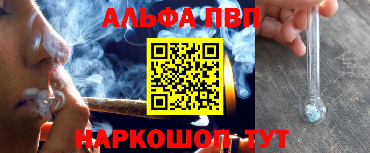 Alfa_PVP СК КРИС Бийск