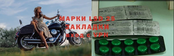 прущий лед Алзамай