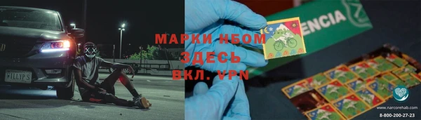 прущий лед Алзамай
