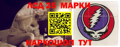 шишки Моздок