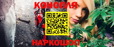 шишки Моздок