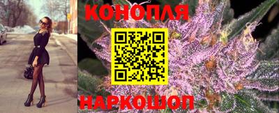 PSILOCYBIN Можайск