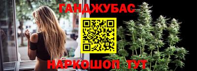 шишки Моздок